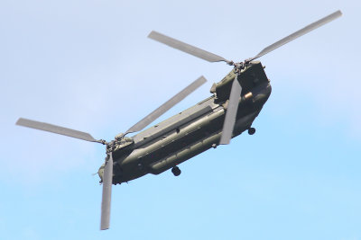 Chinook #1