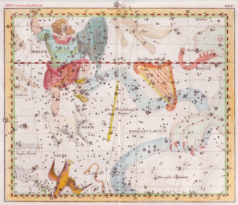 Tafel XXIV - Der Eridanus Fluss; der Grabstichel; der Brandenburgische Scepter; Orion; der Haase; die Taube; die Georgs Harffe