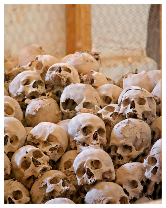 A Pile of Skulls