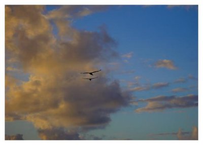 g6/97/570097/3/72144651.OPSiLWX9.jpg