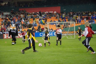 IMG_9486.jpg