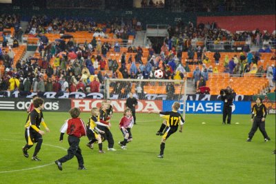 IMG_9515.jpg