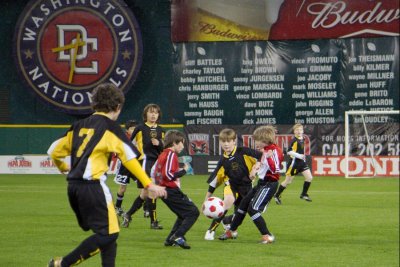 IMG_9538.jpg