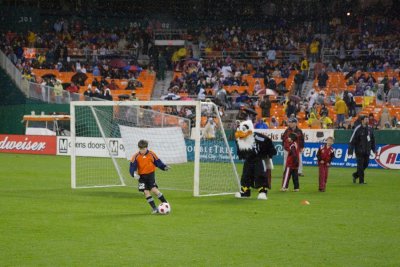 IMG_9547.jpg