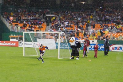 IMG_9548.jpg