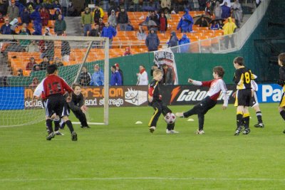 IMG_9561.jpg