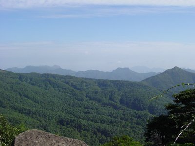 DSC00911.jpg
