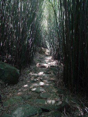 DSC00922.jpg