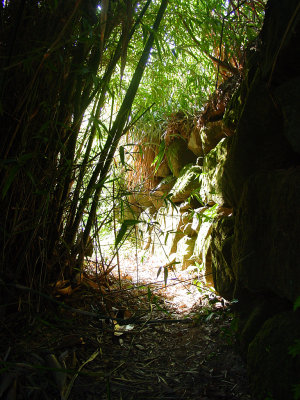 DSC00923.jpg