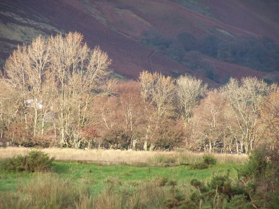 Crummock 056.jpg