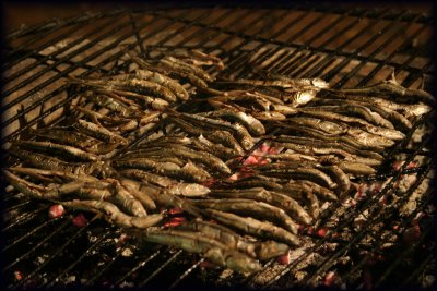 sardine braai