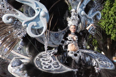 Santa Cruz carnival 2007