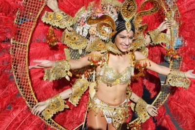 Santa Cruz carnival 2007
