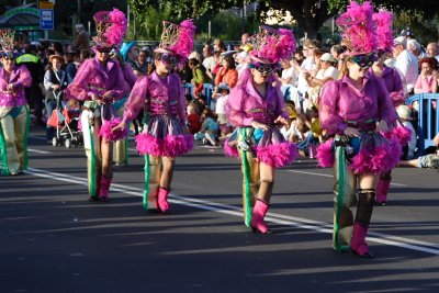 Santa Cruz carnival 2007