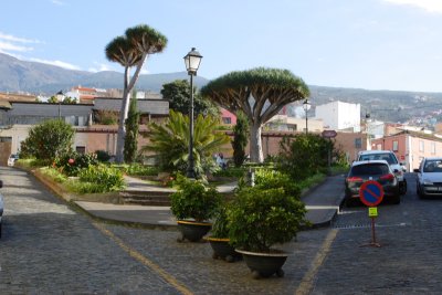 DPP_0046.JPG