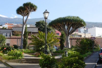 DPP_0047.JPG