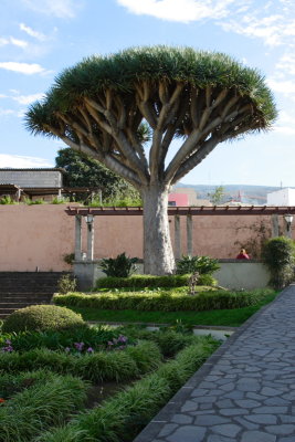 DPP_0048.JPG