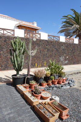 La Calleta