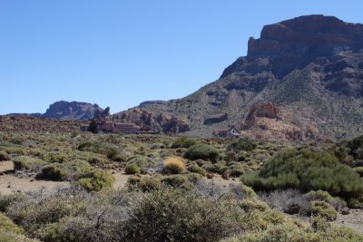 DPP_0019.JPG