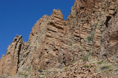 DPP_0033.JPG