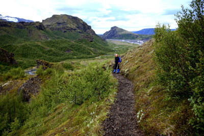 Goaland