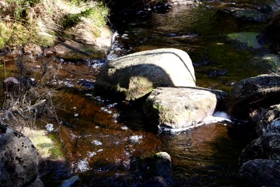 IMG_6562.JPG
