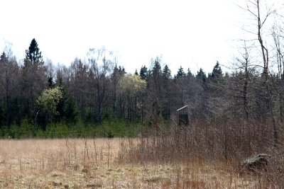 IMG_6501.JPG