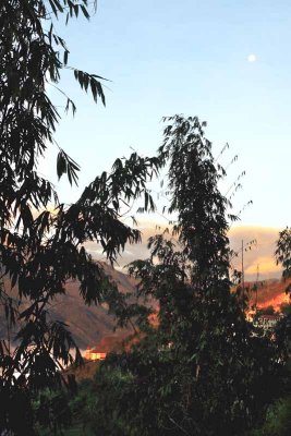 277 SAPA07 Golden sunset with moon.jpg