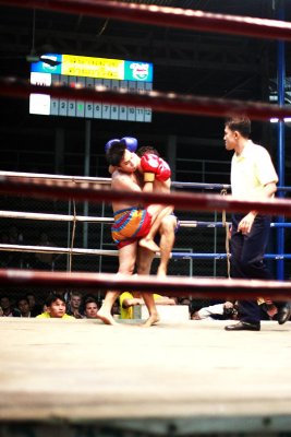 CM152 Muay Thai.jpg