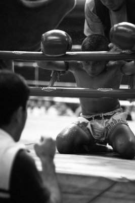 CM162 Muay Thai.jpg