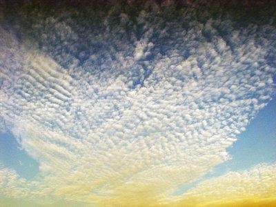 NDP07006 The Clouds.jpg