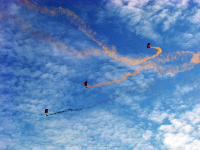 NDP07008 The Parachutists.jpg