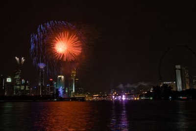 002Firework NDP07 .jpg