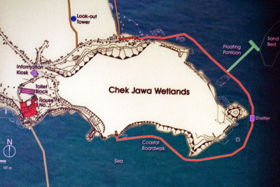 PU70811009 Map Chek Jawa.jpg