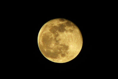 Moon with Canon S5.jpg