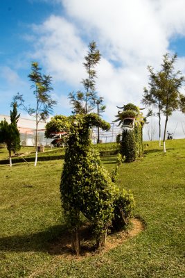 IMG_3804 Dalat Flower Garden .jpg