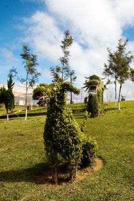 IMG_3804 Dalat Flower Garden .jpg