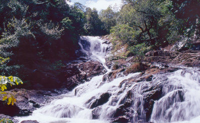Dalat Waterfall.jpg