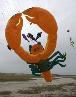 Kite Festivals and Competitions