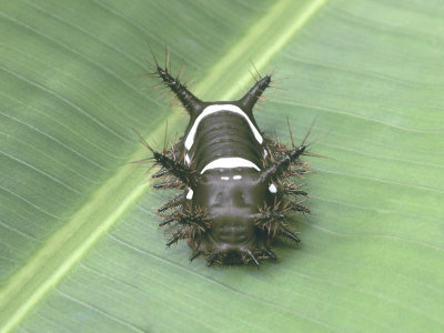 PICT0180.jpg