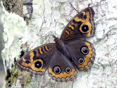 PICT0506.JPG
