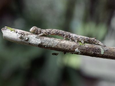PICT0703.JPG