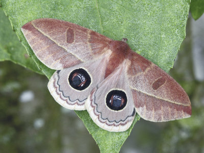 PICT0946.JPG