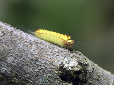PICT1742.JPG
