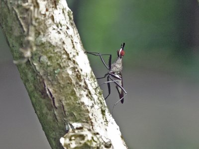 PICT1841.JPG