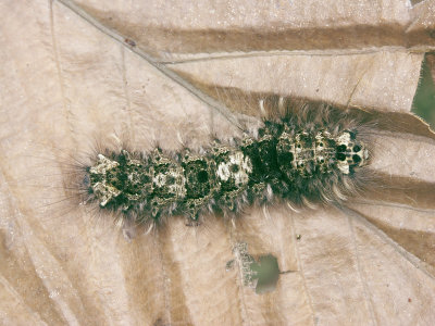 PICT1920.JPG
