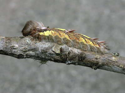 PICT2588.JPG