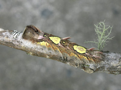 PICT2608.JPG
