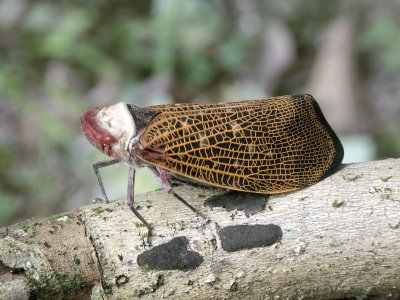 PICT2785.JPG