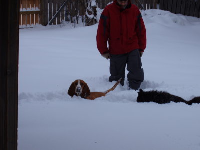 06SNO006.JPG